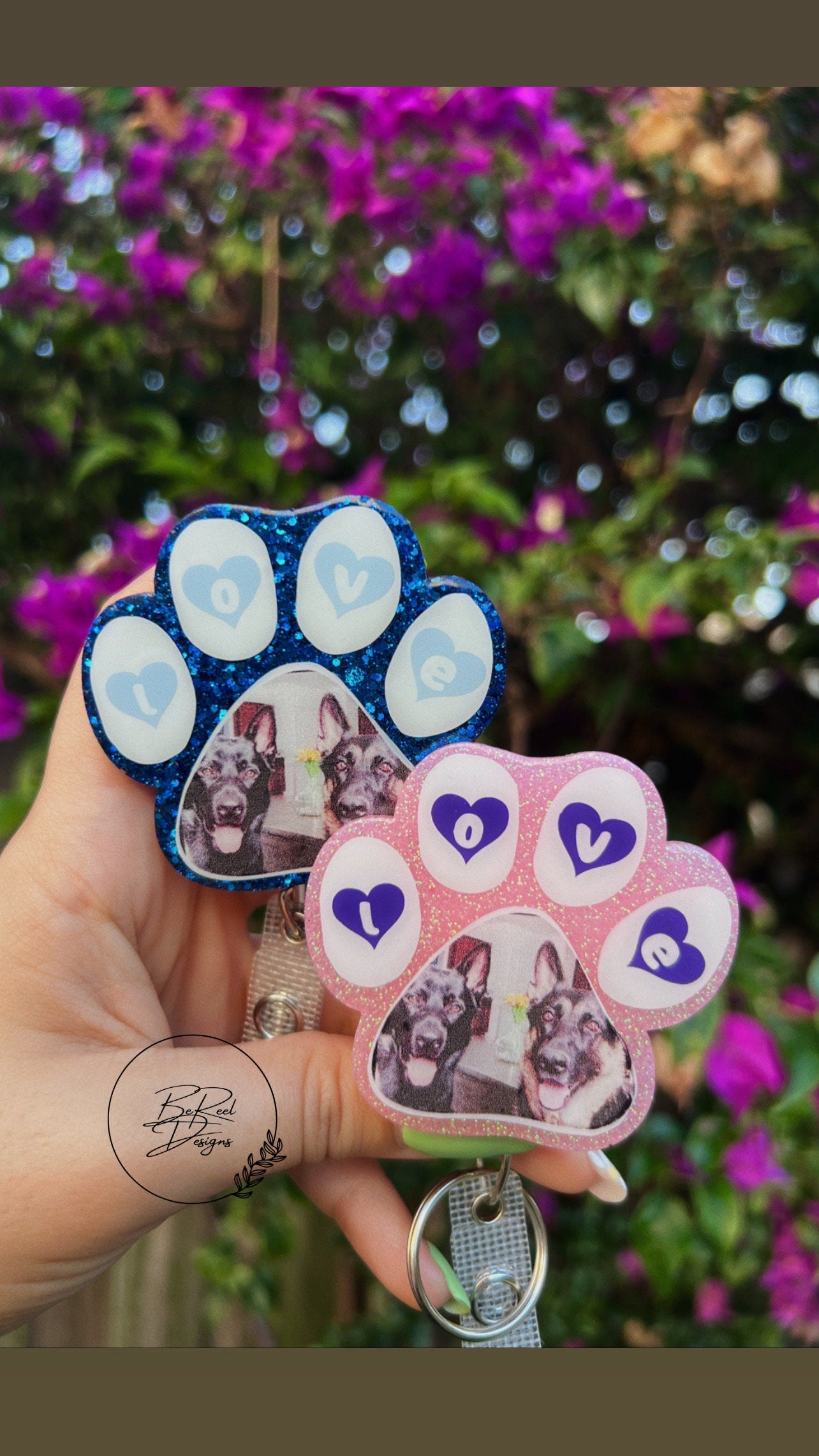 Paws on Deck