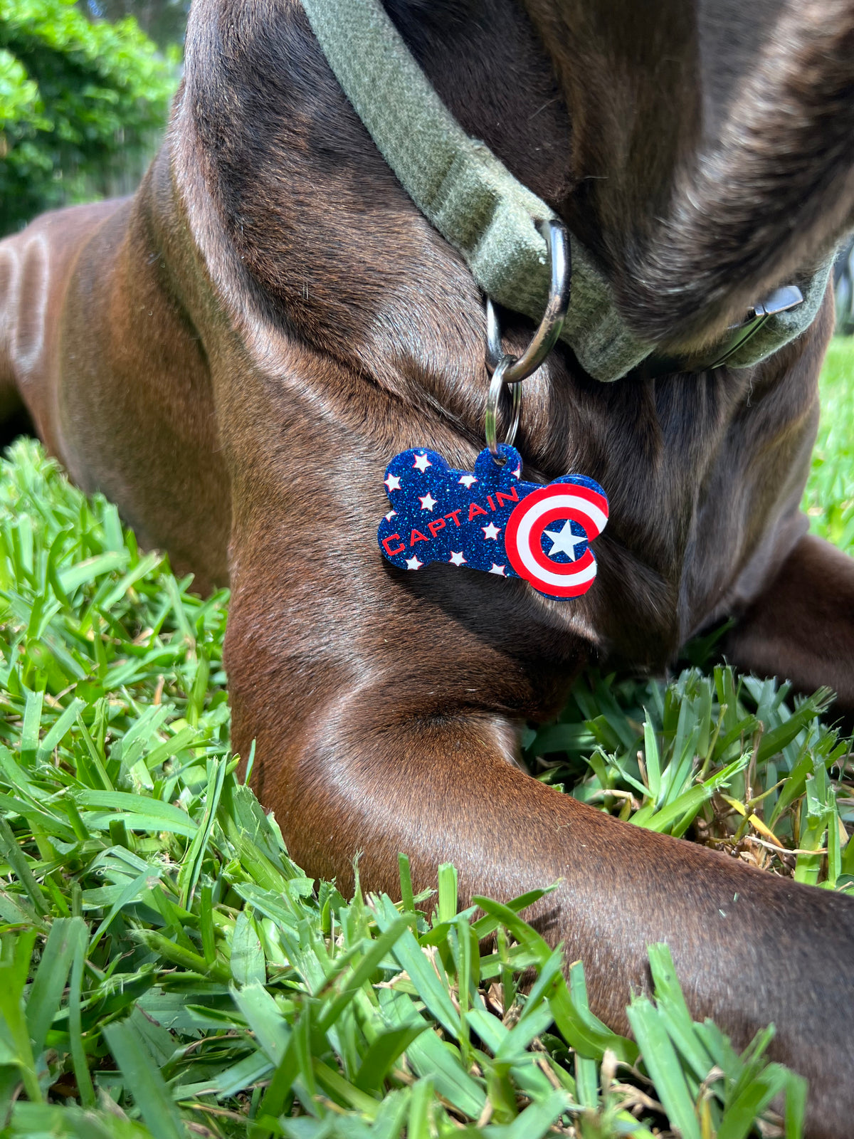Custom Dog Tag
